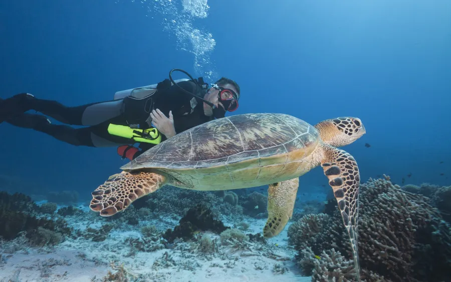 Tubbataha Reef