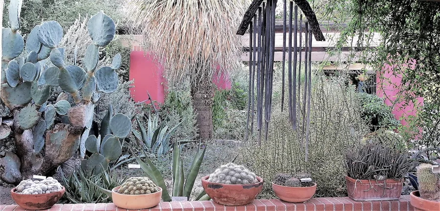 Tucson Botanical Gardens