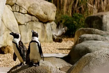 Tulsa Zoo