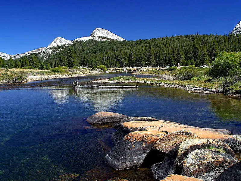 Tuolumne Meadows