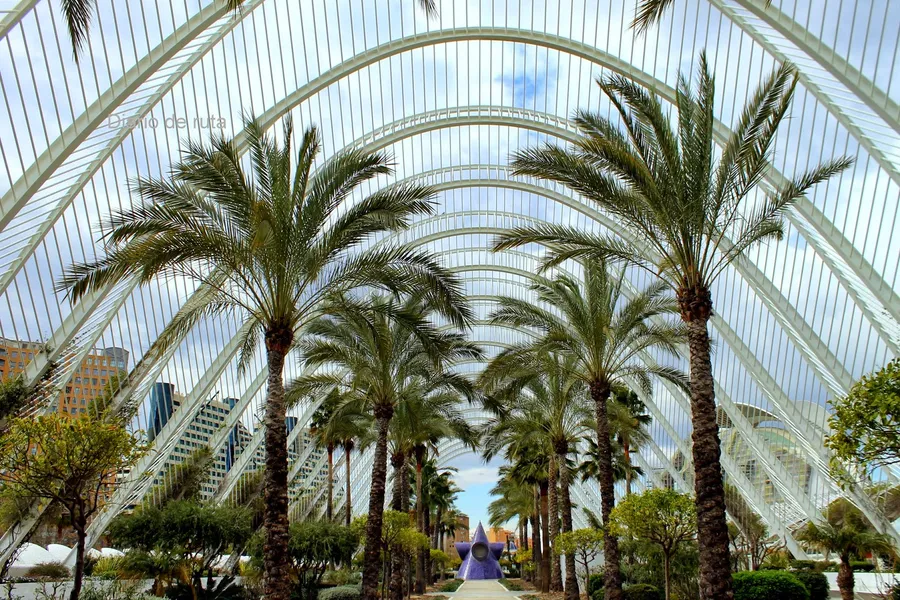 Turia Gardens