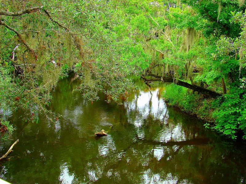 Turkey Creek Sanctuary