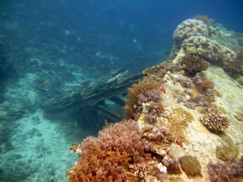 Turtle Point