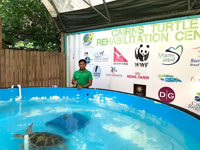 Turtle Rehabilitation Centre