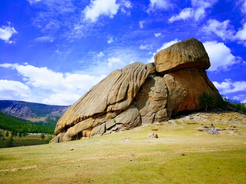 Turtle Rock