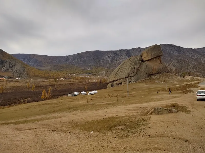 Turtle Rock