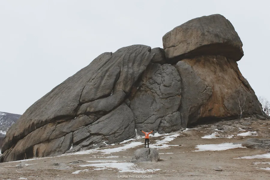 Turtle Rock