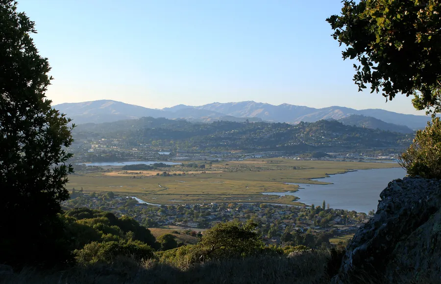 Turtle Rock Ridge Vineyard