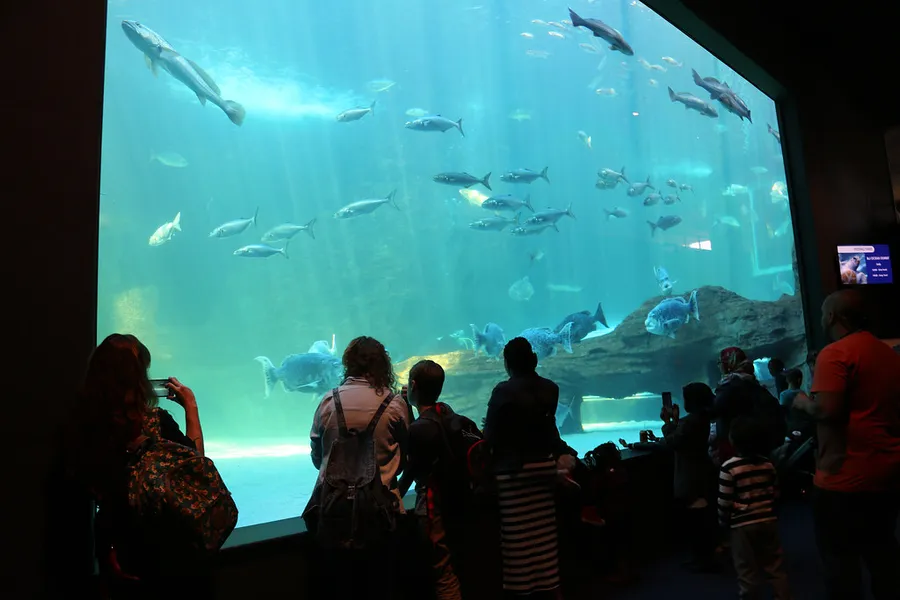 Two Oceans Aquarium