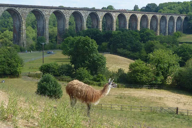 Ty Mawr Country Park