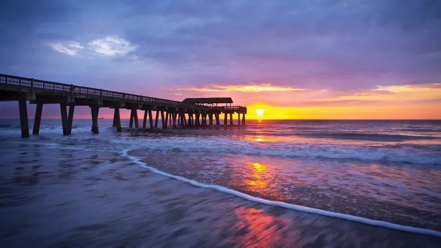 Tybee Island Gallery