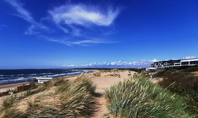 Tylösand Beach