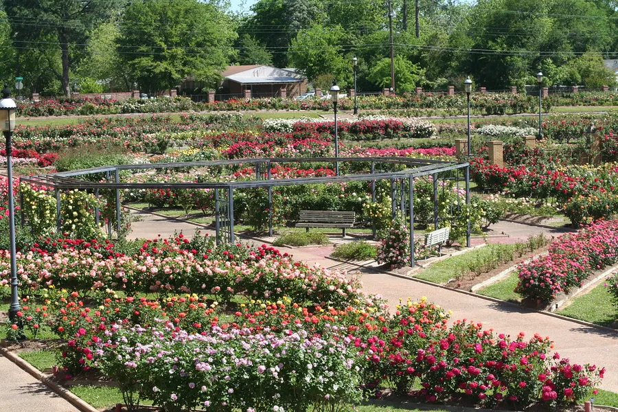 Tyler Rose Garden
