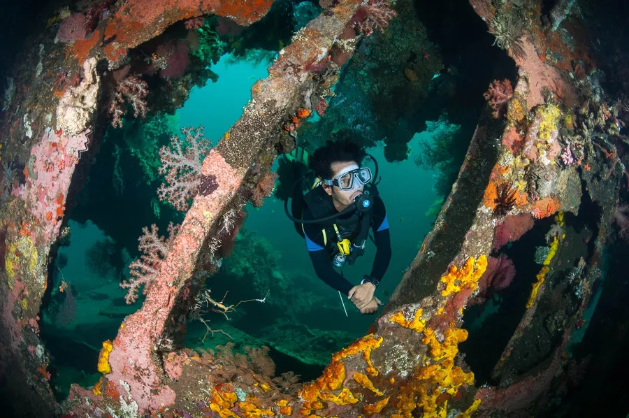 USAT Liberty Shipwreck