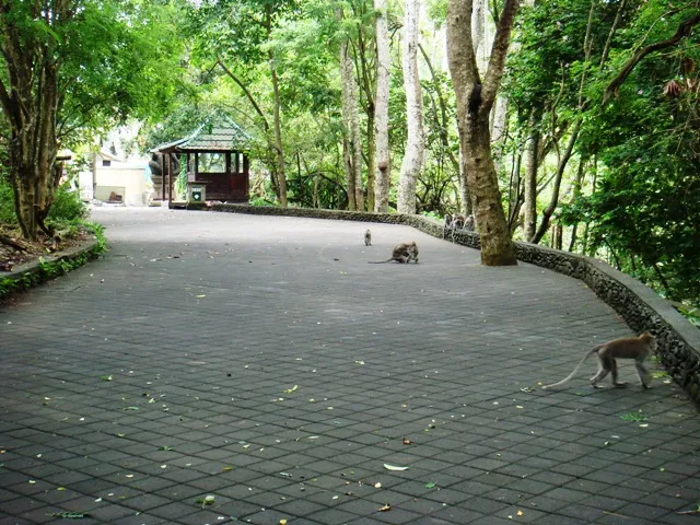 Ubud Monkey Forest