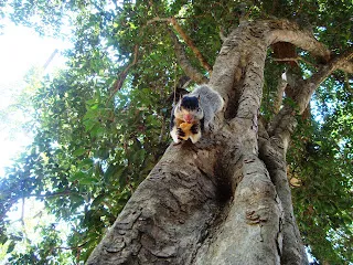Uda Animal Park