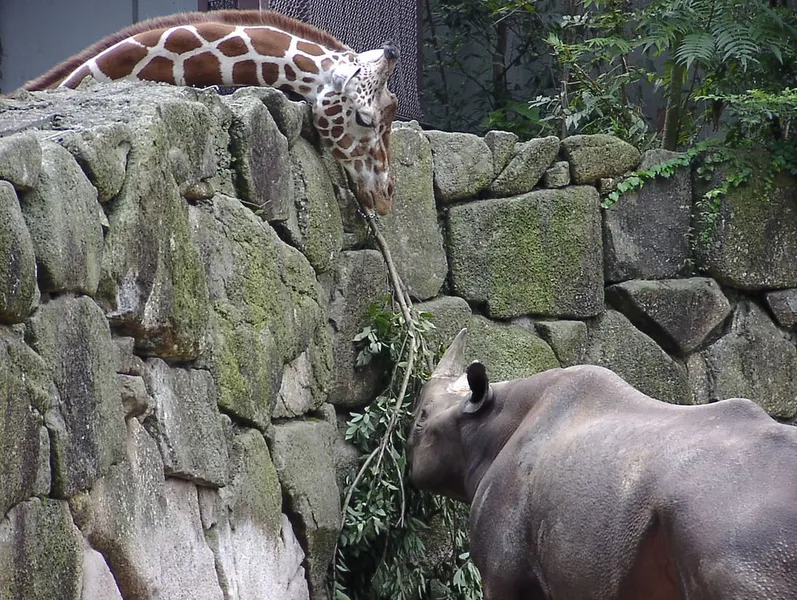 Ueno Zoo