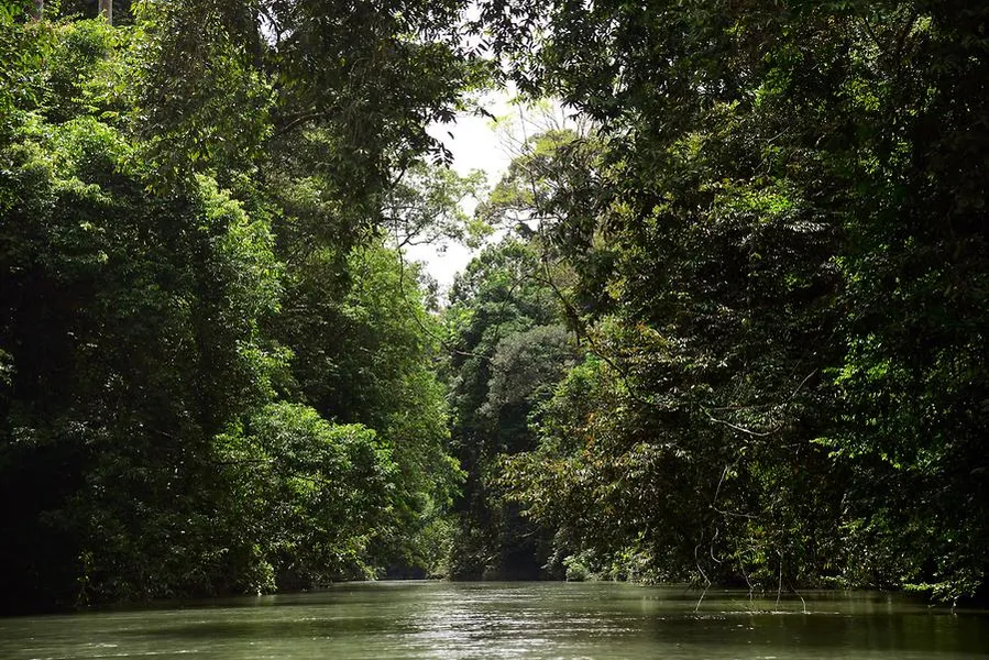 Ulu Temburong National Park