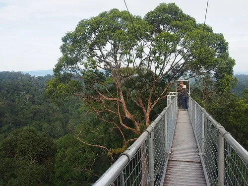 Ulu Temburong National Park