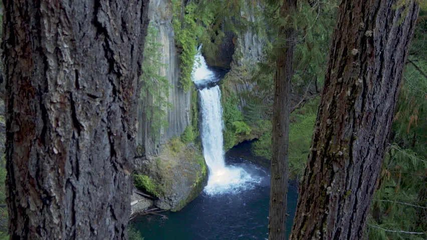 Umpqua National Forest