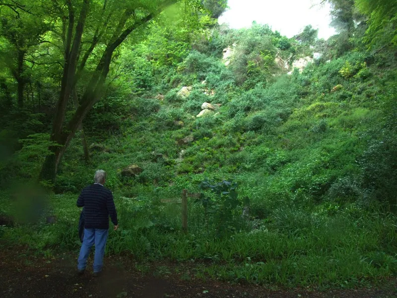 Undercliff Nature Reserve