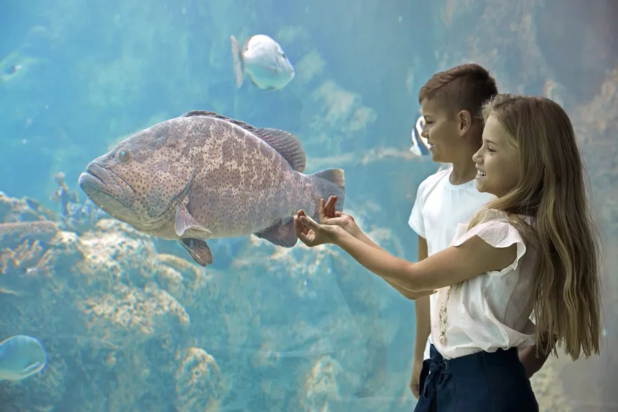 Underwater Observatory