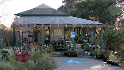 University of California Santa Cruz Arboretum