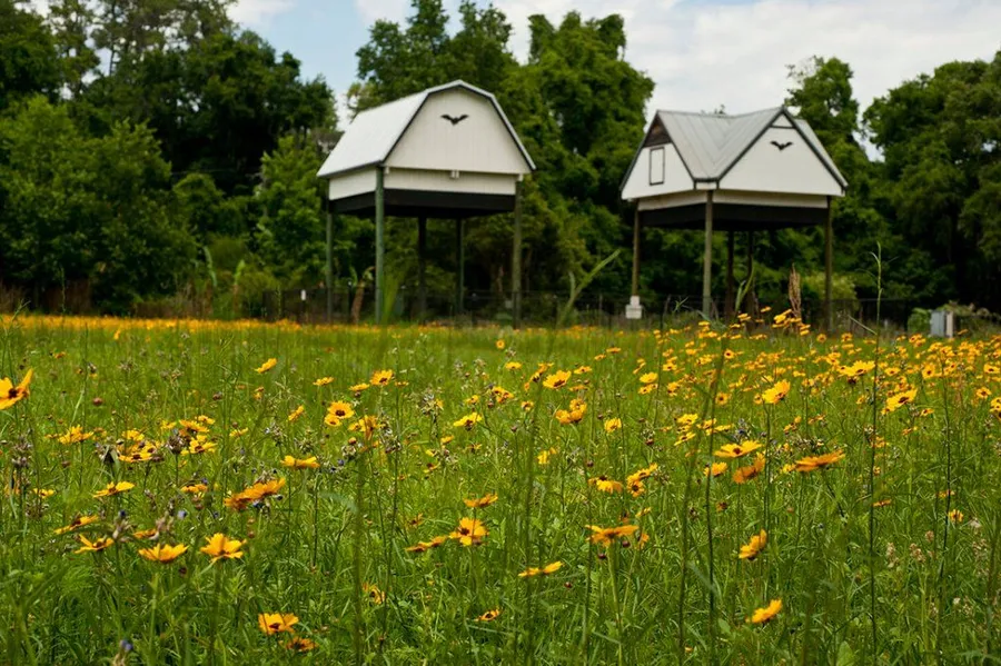 University of Florida Bat Houses