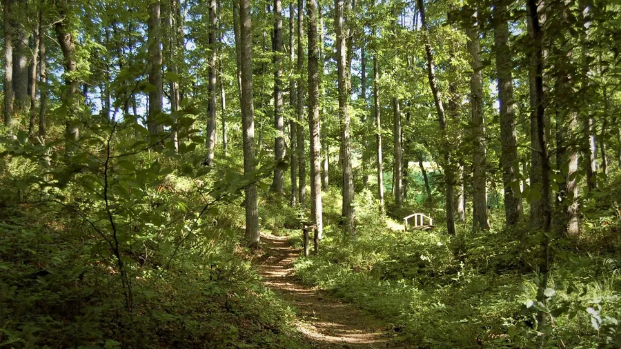 University of Tennessee Arboretum