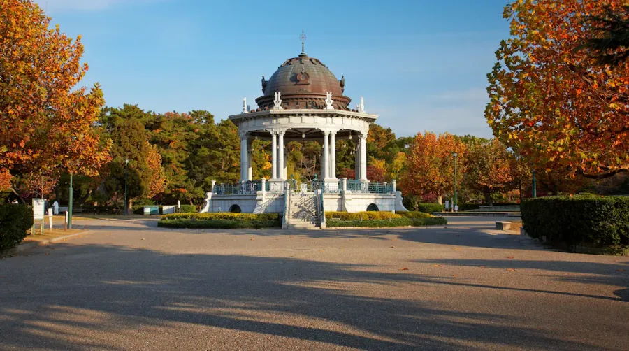 University of Virginia
