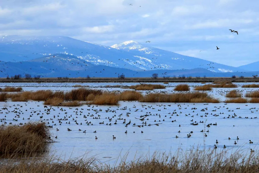 Upper Klamath National Wildlife Refuge