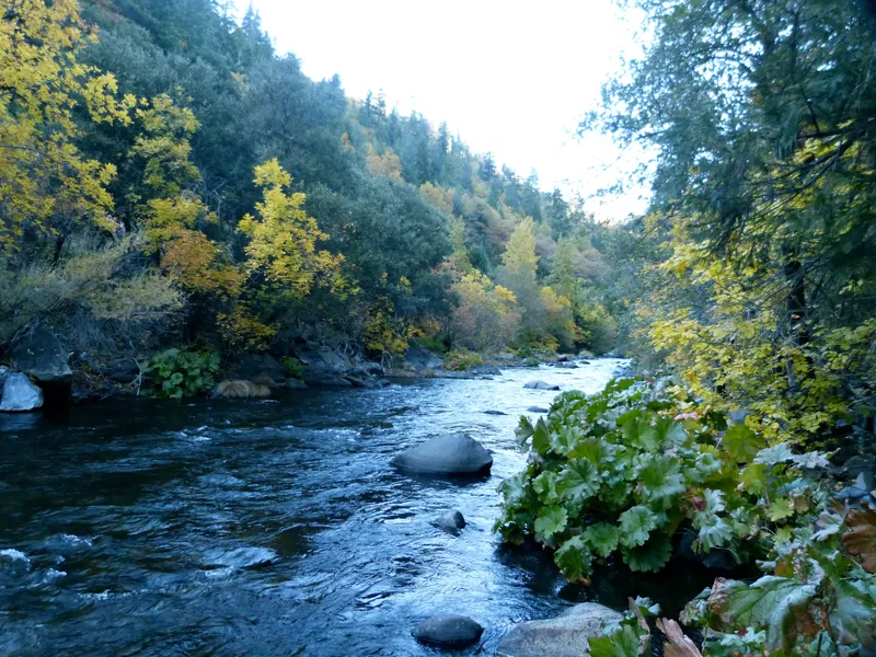 Upper Sacramento River