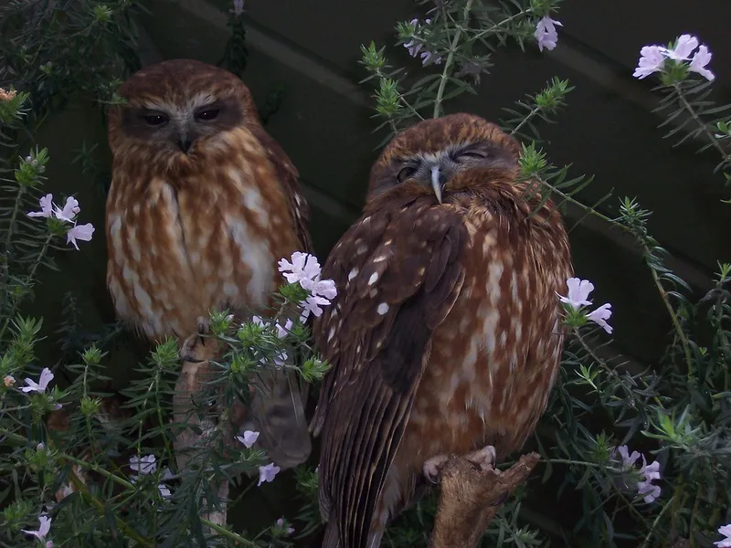 Urimbirra Wildlife Park