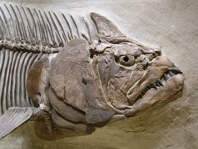 Utah State University Eastern Prehistoric Museum