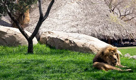Valencia Bioparc