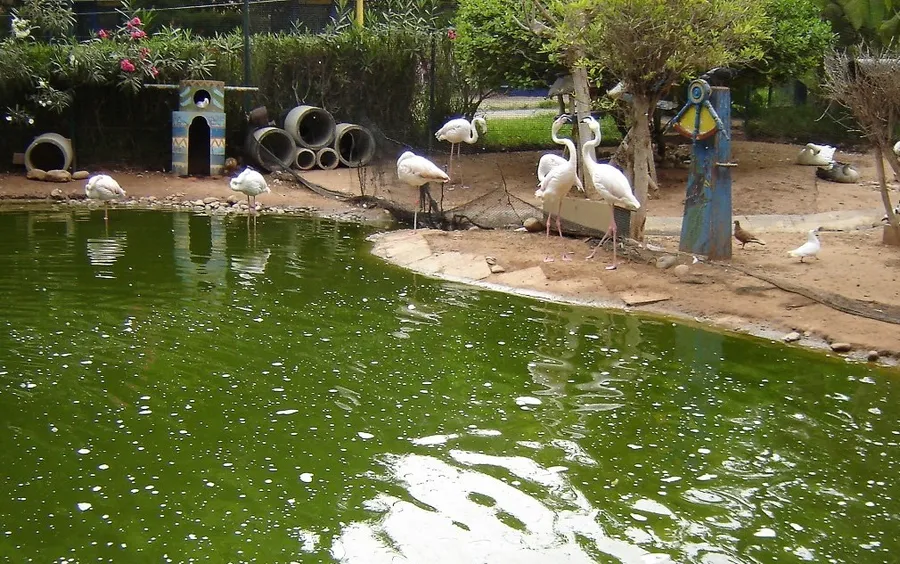 Vallee des Oiseaux