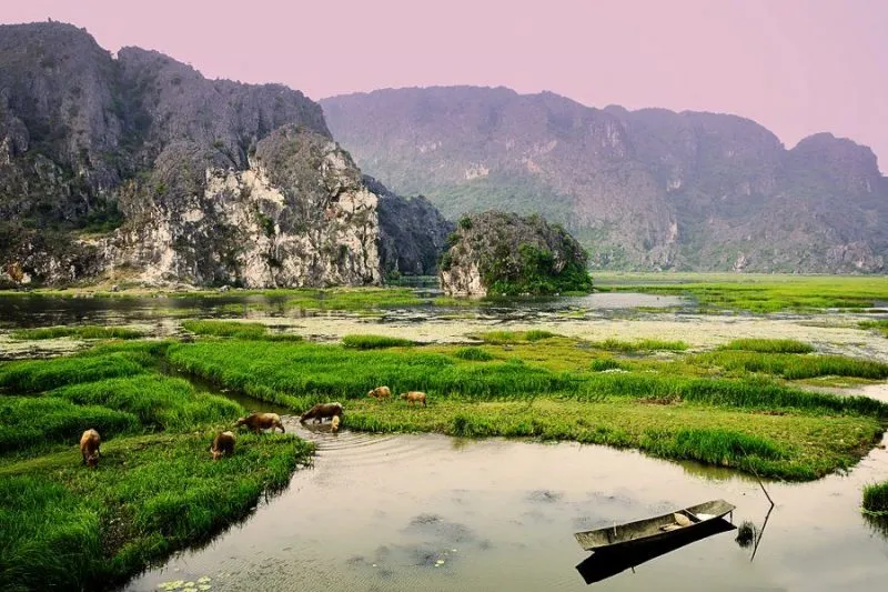 Van Long Nature Reserve
