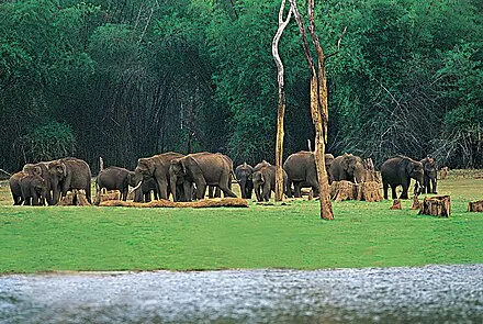 Vandiperiyar