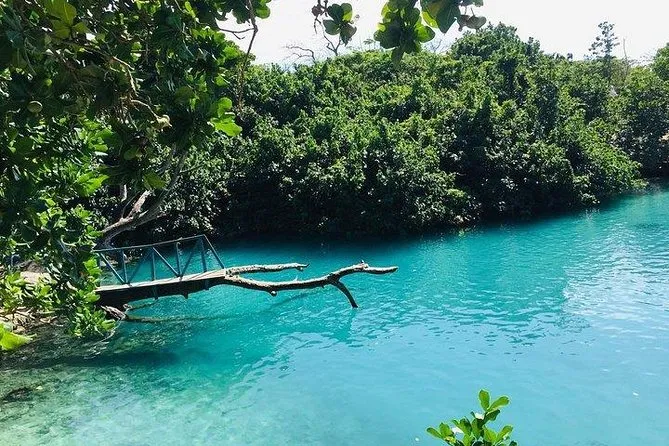 Vanuatu Wildlife Sanctuary