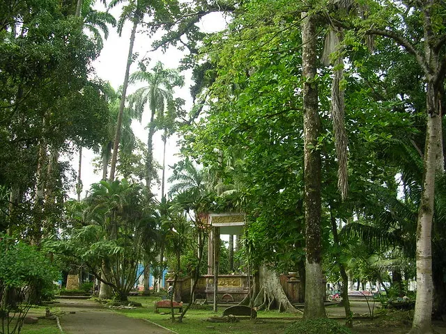 Vargas Park