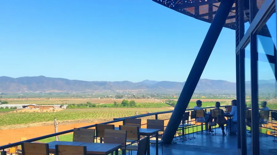 Vena Cava Winery