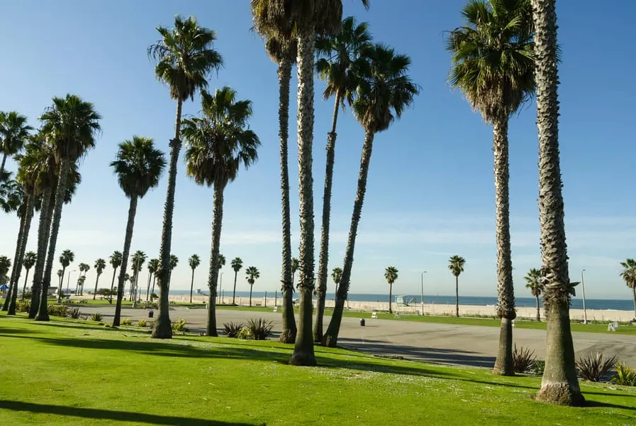 Venice Beach