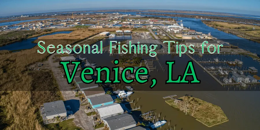Venice Fishing Pier