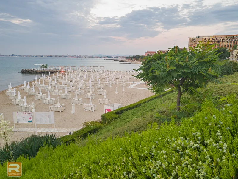 Venid Beach