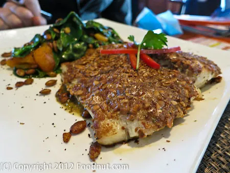 Ventana Gourmet Grill