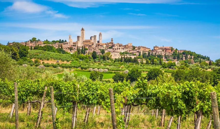 Vernaccia di San Gimignano Wine Museum