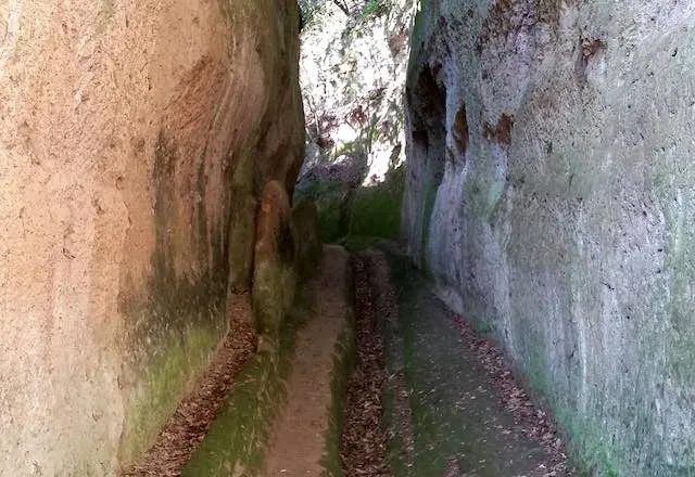 Vie Cave