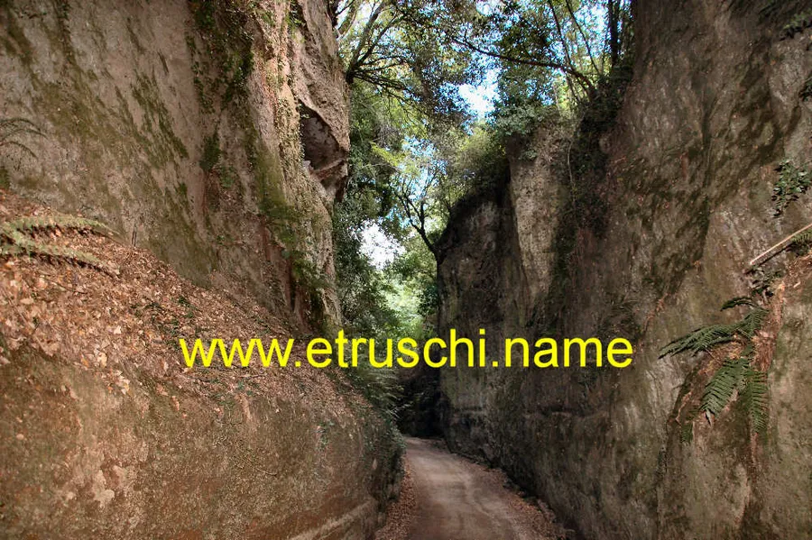 Vie Cave (Etruscan Roads)