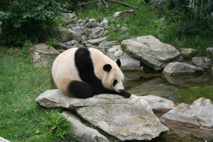 Vienna Zoo