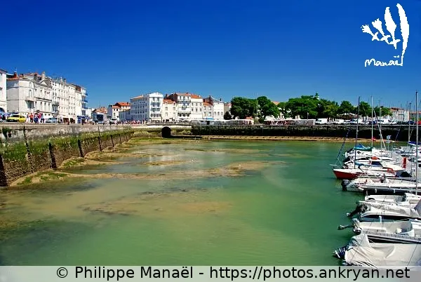 Vieux Port